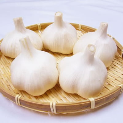 青森県産おいらせにんにく(各種サイズ)
