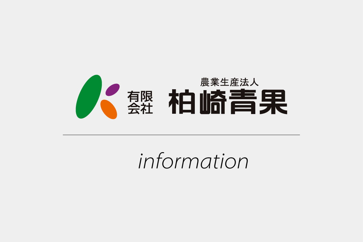 年末年始休業のお知らせ