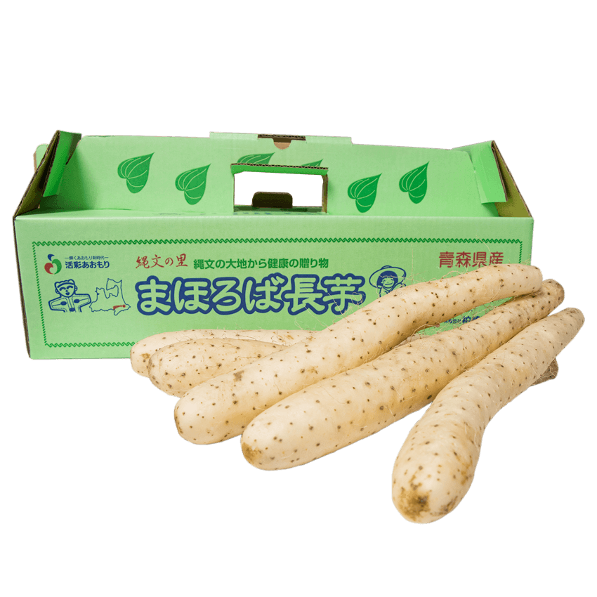 青森県産まほろば長芋 小S〜Mサイズ10kg（18〜22本入り）