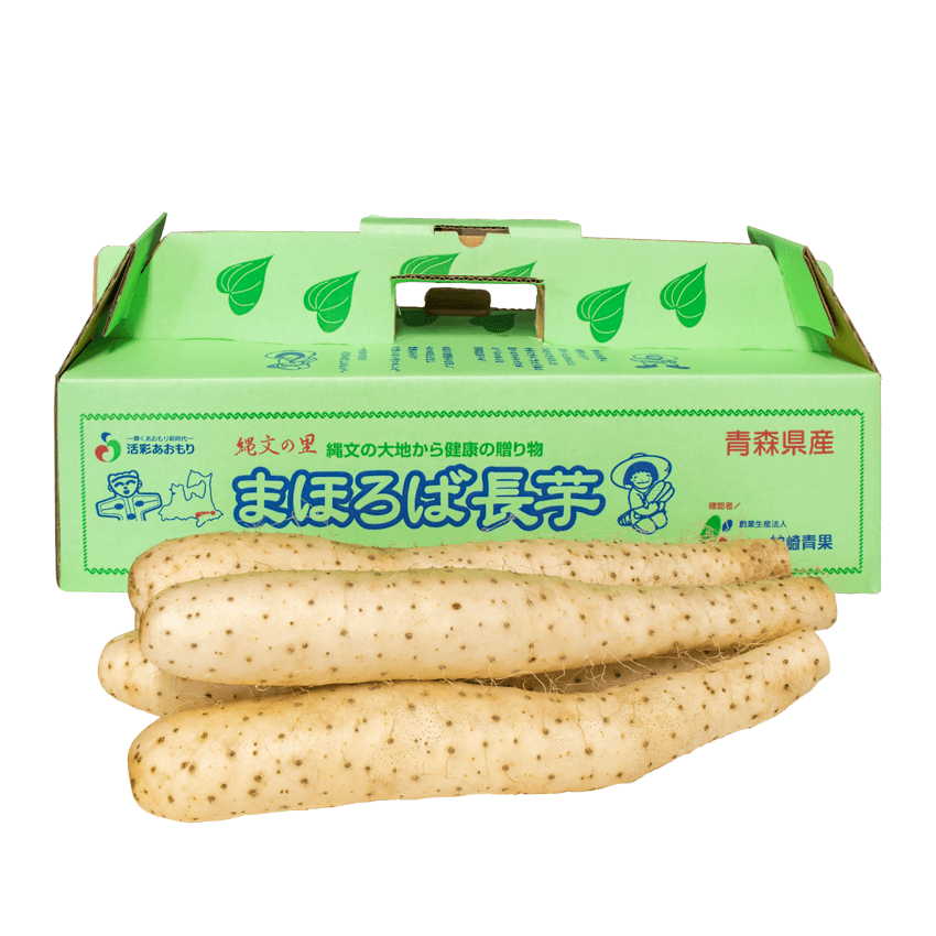 青森県産まほろば長芋 小S〜Mサイズ3kg（5〜7本入り）