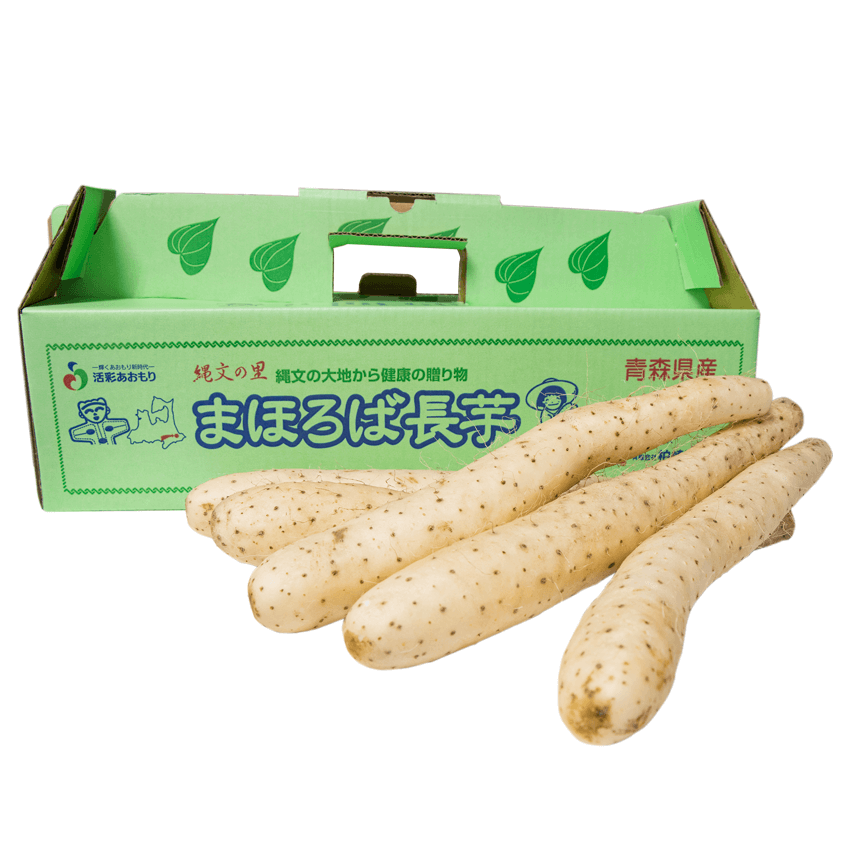 青森県産まほろば長芋 小S〜Mサイズ5kg（9〜11本入り）