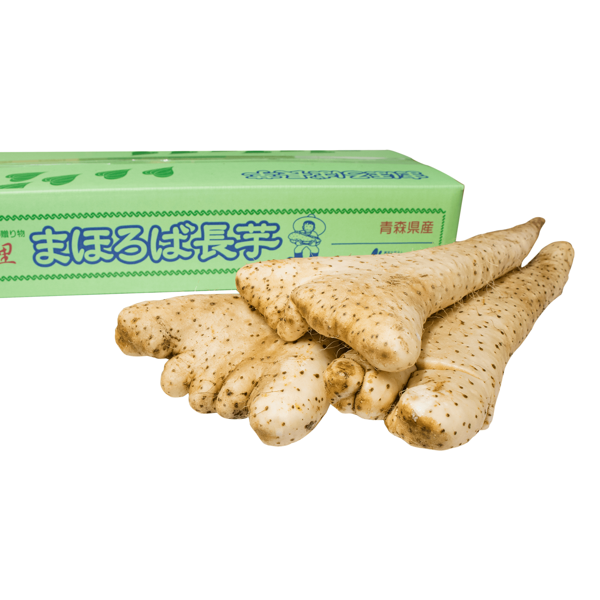 青森県産まほろば長芋 平型5kg（4〜7本入り）
